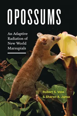 Oposy: Adaptacyjna radiacja torbaczy z Nowego Świata - Opossums: An Adaptive Radiation of New World Marsupials