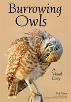 The World of Burrowing Owls: Esej fotograficzny odkrywający ich zachowania i piękno - The World of Burrowing Owls: A Photographic Essay Exploring Their Behaviors & Beauty