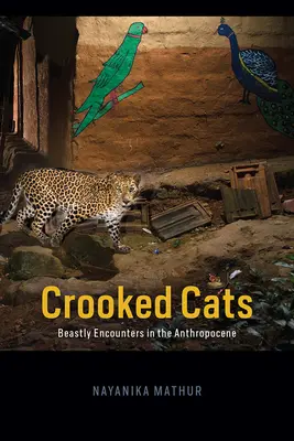 Krzywe koty: Bestialskie spotkania w antropocenie - Crooked Cats: Beastly Encounters in the Anthropocene