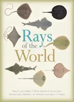 Promienie świata - Rays of the World