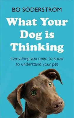 Co myśli twój pies - What Your Dog Is Thinking