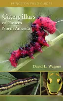 Gąsienice wschodniej części Ameryki Północnej: Przewodnik po identyfikacji i historii naturalnej - Caterpillars of Eastern North America: A Guide to Identification and Natural History