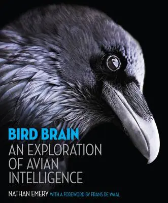 Bird Brain: Badanie ptasiej inteligencji
