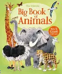 Wielka księga zwierząt - Big Book of Animals