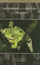 Płazy i gady Delmarvy - Amphibians and Reptiles of Delmarva