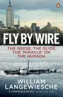 Fly By Wire - Gęsi, szybowanie, „cud” na rzece Hudson - Fly By Wire - The Geese, The Glide, The 'Miracle' on the Hudson