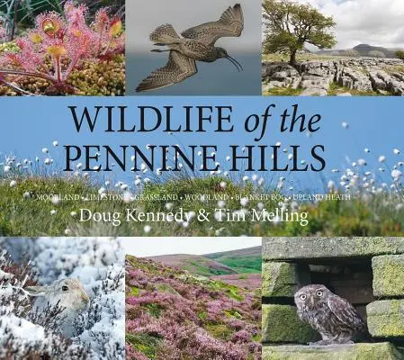 Wildlife of the Pennine Hills: Moorland: Wapień: Użytki zielone: Lasy: Torfowisko: Wrzosowisko - Wildlife of the Pennine Hills: Moorland: Limestone: Grassland: Woodland: Blanket Bog: Upland Heath