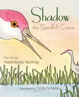 Cień żurawia piaskowego - Shadow the Sandhill Crane