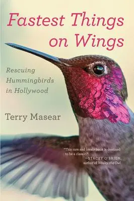 Najszybsze rzeczy na skrzydłach: Ratowanie kolibrów w Hollywood - Fastest Things on Wings: Rescuing Hummingbirds in Hollywood
