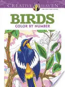 Kolorowanka Creative Haven Ptaki według numerów - Creative Haven Birds Color by Number Coloring Book
