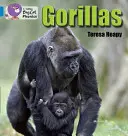 Goryle - Gorillas