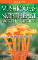 Grzyby północno-wschodniej Ameryki Północnej: Od Środkowego Zachodu do Nowej Anglii - Mushrooms of Northeast North America: Midwest to New England