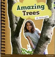 Bug Club Guided Non Fiction Rok 1 Zielony A Niesamowite drzewa - Bug Club Guided Non Fiction Year 1 Green A Amazing Trees