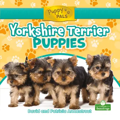 Szczenięta rasy Yorkshire Terrier - Yorkshire Terrier Puppies