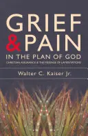 Smutek i ból w Bożym planie: Chrześcijańska pewność i przesłanie Lamentacji - Grief and Pain in the Plan of God: Christian Assurance and the Message of Lamentations