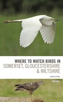 Gdzie obserwować ptaki w Somerset, Gloucestershire i Wiltshire? - Where to Watch Birds in Somerset, Gloucestershire and Wiltshire