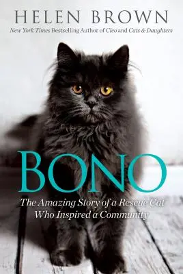 Bono: Niesamowita historia kota ratownika, który zainspirował społeczność - Bono: The Amazing Story of a Rescue Cat Who Inspired a Community