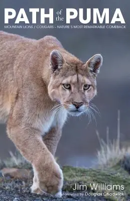 Ścieżka pumy: Niezwykła odporność lwa górskiego - Path of the Puma: The Remarkable Resilience of the Mountain Lion