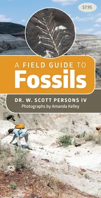 Przewodnik terenowy po skamieniałościach - A Field Guide to Fossils