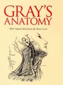 Gray's Anatomy: Slip-Case Edition