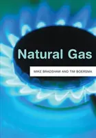 Gaz ziemny - Natural Gas