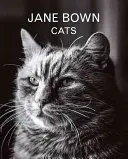 Jane Bown: Koty - Jane Bown: Cats