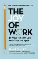 Radość z pracy - Bestseller nr 1 Sunday Times Business - 30 sposobów na naprawienie kultury pracy i ponowne zakochanie się w swojej pracy - Joy of Work - The No.1 Sunday Times Business Bestseller - 30 Ways to Fix Your Work Culture and Fall in Love with Your Job Again