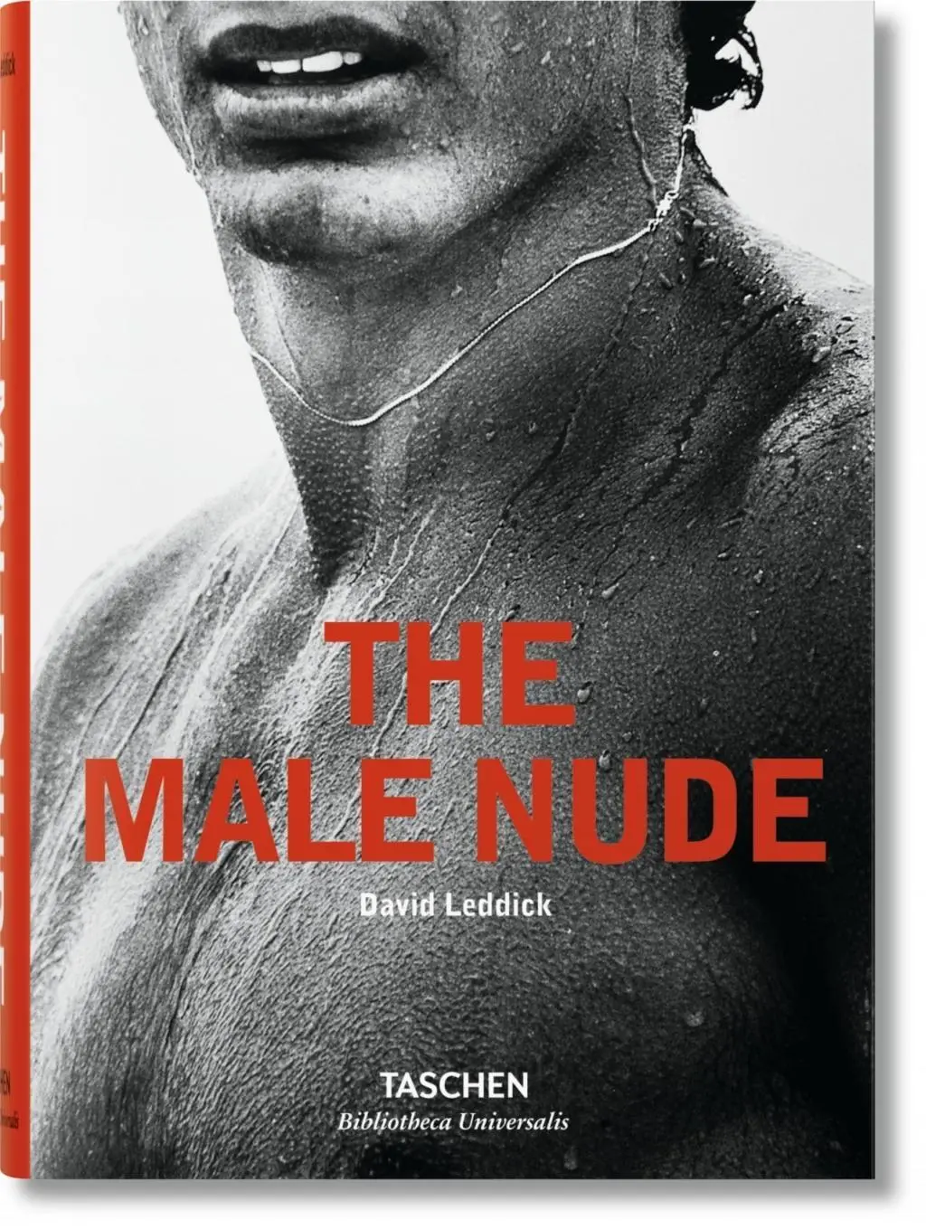 Akt męski - The Male Nude