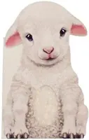 Futrzana owieczka - Furry Lamb