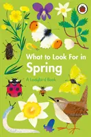 Na co zwrócić uwagę wiosną - What to Look For in Spring