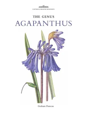 Rodzaj Agapanthus - Genus Agapanthus