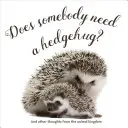 Czy ktoś potrzebuje uścisku żywopłotu? - Does Somebody Need a Hedgehug?