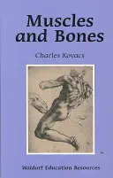 Mięśnie i kości: Zasoby edukacji waldorfskiej - Muscles and Bones: Waldorf Education Resources