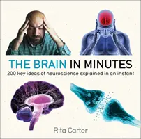 The Brain in Minutes: 200 kluczowych idei neuronauki wyjaśnionych w mgnieniu oka - The Brain in Minutes: 200 Key Ideas of Neuroscience Explained in an Instant