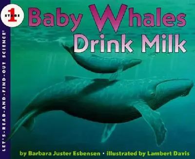 Małe wieloryby piją mleko - Baby Whales Drink Milk