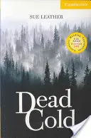 Martwe zimno Poziom 2 - Dead Cold Level 2