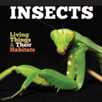 Owady - Insects