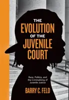 Ewolucja sądów dla nieletnich: Rasa, polityka i kryminalizacja wymiaru sprawiedliwości dla nieletnich - The Evolution of the Juvenile Court: Race, Politics, and the Criminalizing of Juvenile Justice
