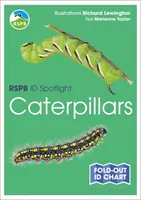 RSPB ID Spotlight - Gąsienice - RSPB ID Spotlight - Caterpillars