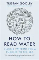 Jak czytać wodę - wskazówki i wzory od kałuż po morze - How To Read Water - Clues & Patterns from Puddles to the Sea