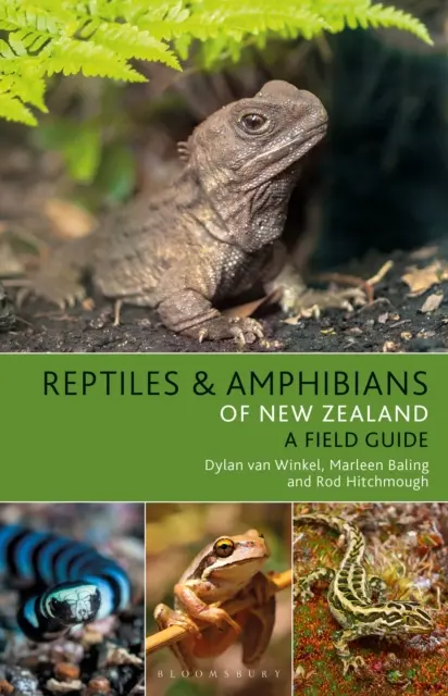 Gady i płazy Nowej Zelandii - Reptiles and Amphibians of New Zealand