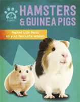 Ekspert od zwierząt: chomiki i świnki morskie - Pet Expert: Hamsters and Guinea Pigs