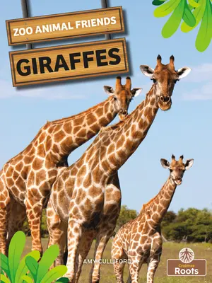 Żyrafy - Giraffes