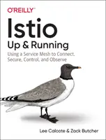 Istio: Uruchamianie: Używanie siatki usług do łączenia, zabezpieczania, kontrolowania i obserwowania - Istio: Up and Running: Using a Service Mesh to Connect, Secure, Control, and Observe
