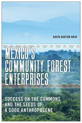 Społeczne przedsiębiorstwa leśne w Meksyku: Sukces wspólnoty i nasiona dobrego antropocenu - Mexico's Community Forest Enterprises: Success on the Commons and the Seeds of a Good Anthropocene