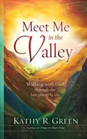 Spotkaj mnie w dolinie: Chodzenie z Bogiem przez niskie miejsca w życiu - Meet Me in the Valley: Walking With God Through the Low Places in Life