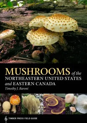 Grzyby północno-wschodnich Stanów Zjednoczonych i wschodniej Kanady - Mushrooms of the Northeastern United States and Eastern Canada