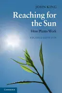 Sięgając po słońce: Jak działają rośliny - Reaching for the Sun: How Plants Work