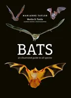 Nietoperze - ilustrowany przewodnik po wszystkich gatunkach - Bats - An illustrated guide to all species