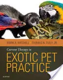 Bieżąca terapia w praktyce zwierząt egzotycznych - Current Therapy in Exotic Pet Practice